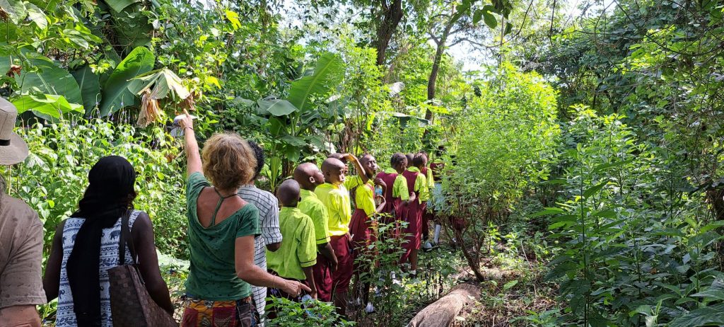 Führung einer Schulklasse durch unseren Waldgarten im Senegal
