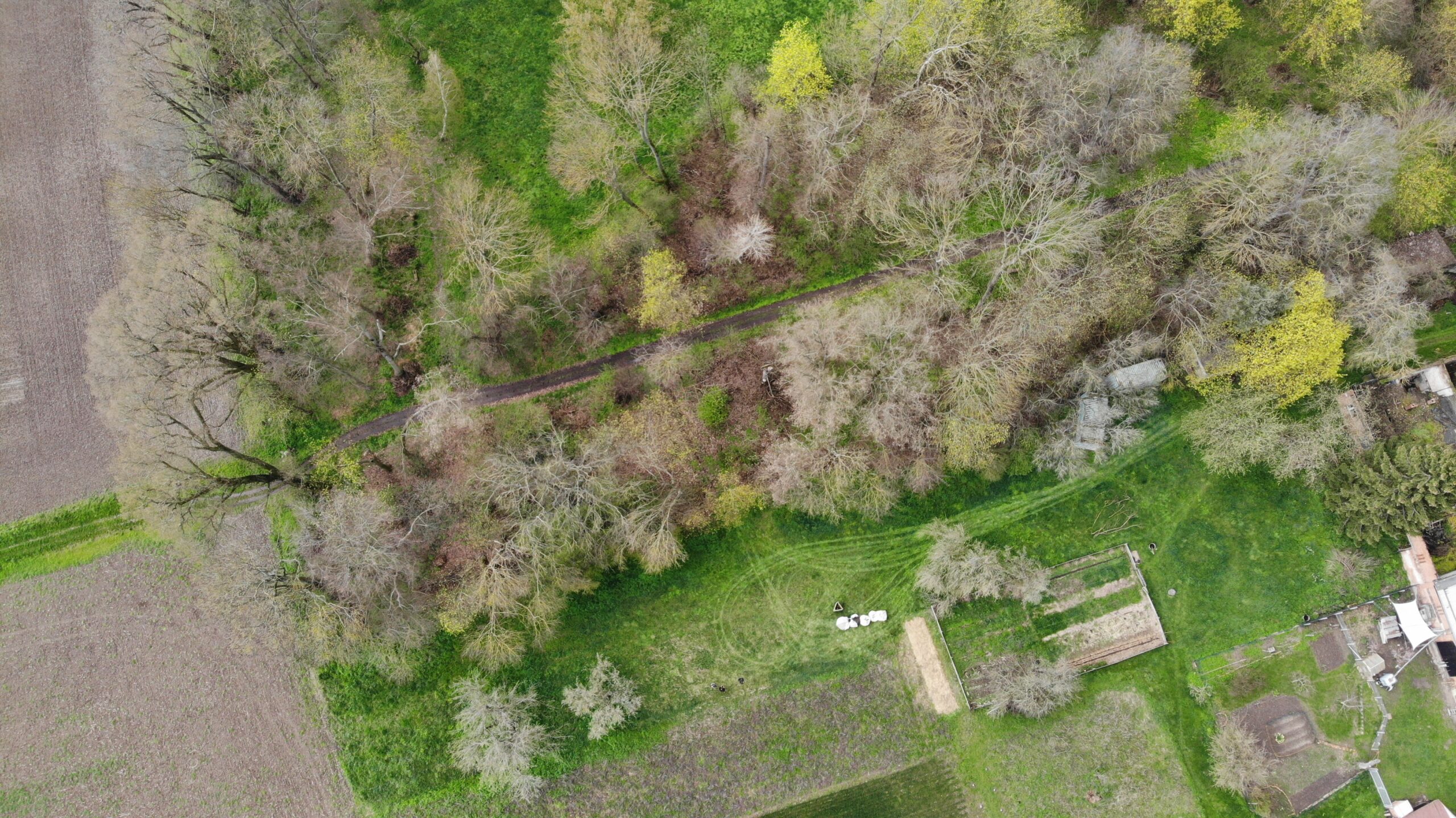Luftbild eines lockeren Waldes mit umgebenden Feldern, Jäckels Aufbruch